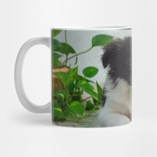 cute puppy Mug